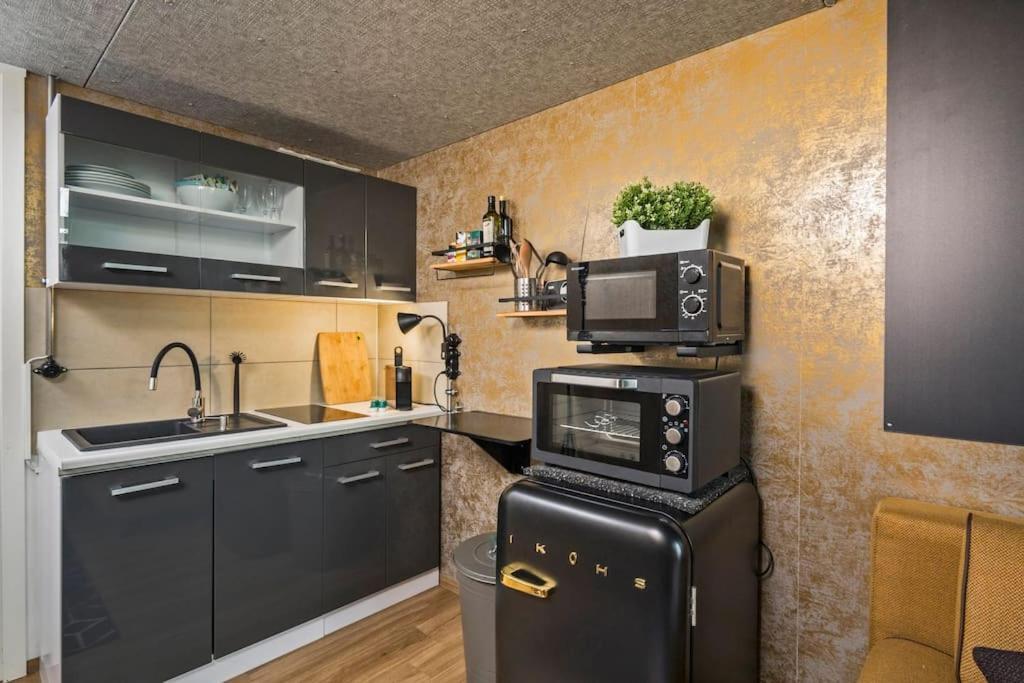 Appartamento Dresden Loft An Der Elbe Esterno foto